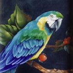 willow-blue-macaw