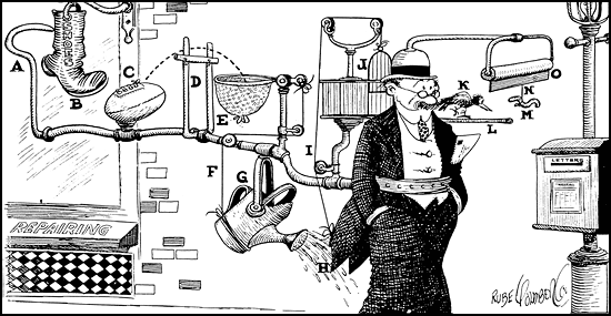 Rube Goldberg Cartoon