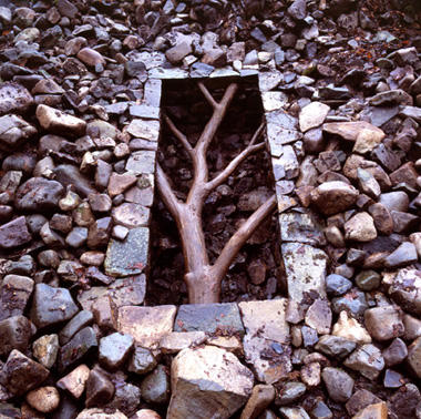 goldsworthy4 goldsworthy4