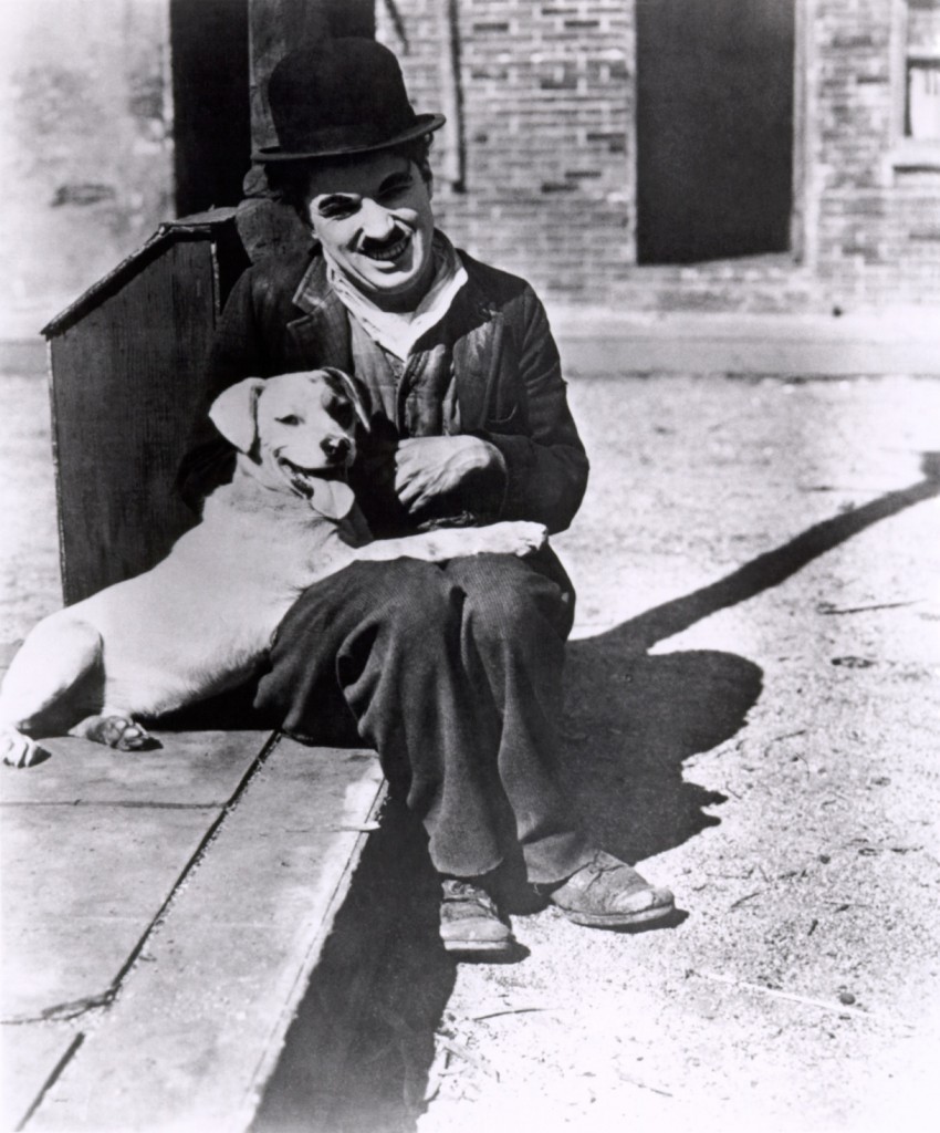 Chaplin, A Dog's Life