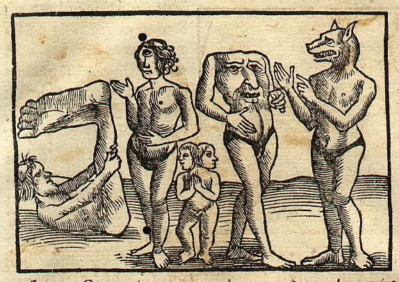 ''...the Sciopods (although one-legged, they were very swift and used their single large feet as an umbrella to shade themselves from the sun). But, most importantly, there were the Cynocephali (Cynocephales, "Dog-heads"), one of the best-known monstrous races. They had the body of a man and the head of a dog. According to Pliny, they lived in the mountains of India and barked to communicate. They lived in caves, wore animal skins, hunted very succesfully, and used javelins, bows, and swords. Other sources that circulated in the middle ages picture the Cynocephali much more frighteningly, with enormous teeth and breathing fire. Several sources make them cannibals. All sources emphasize that they combine the natures of man and beast. [A closer look at the *monster races*.] The Pygmei seem to include  creatures with long hanging ears that droop to the ground, who evoke the earlier *Panotii*. [An inventory of these and other monstrous creatures from the *Nuremberg Chronicle, 1493*.]...''