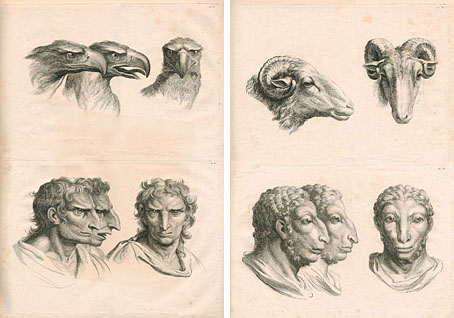 L: Relationship of the Human Figure with that of the Eagle. R: Relationship of the Human Figure with that of the Ram.  From Dissertation sur un Traité de Charles Lebrun concernant le apport de la Physionomie Humaine avec Celle des Animaux (1806), in which the First Painter to Louis XIV attempted to demonstrate a correlation between the souls of men and the appearances of animals. See the complete set of engravings (by L-J-M Morel d’Arleux)