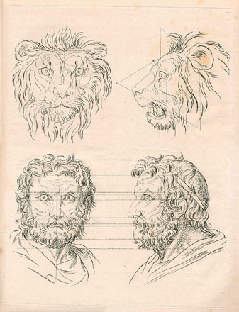 Observe the aquiline nose, the regular facial features mapped out geometrically: all are signs of courage, virtue and intelligence in the king of beasts and his counterpart, Jupiter. So thought Charles Le Brun, court painter to Louis XIV, and he made these portraits for a definitive study of physiognomy to prove it. 