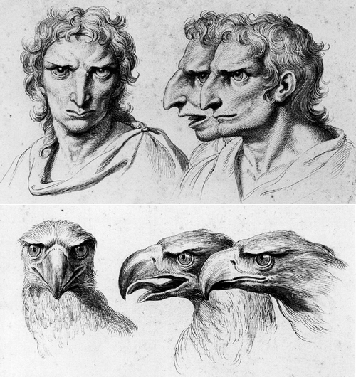 “The goal of physiognomy is to judge character according to features of the face. LeBrun studied the lines linking different points of the head in a complex geometry which revealed the faculties of the spirit or character. Thus, the angle formed by the axis of the eyes and the eyesbrows could lead to various conclusions, depending upon whether or not this angle rose toward the forehead to join the soul or descented toward the nose and mouth, which were considered to be animal features.”