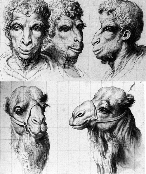 ''The drawings of human heads are extremely well qualified examples of how humans would look with animal characteristics. Although they are not distinct illustrations of animal-human hybrids, they can be used as references.''