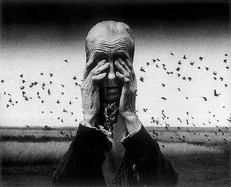 ---Sophia Rydet: from the series "Holocaust", c. 1970---click image for source...