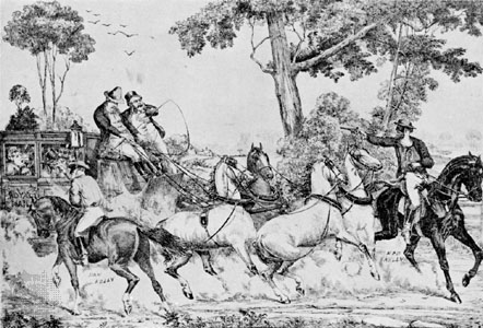 ---The first major outbreak occurred in Tasmania (then known as Van Diemen’s Land), during the last decade of the eighteenth century and the first half of the nineteenth century. The main participants in this banditry were escaped convicts from the penal settlements, joined by a few army deserters, sailors and criminals who had served their sentences and now sought an adventurous lifestyle. The first man to escape to the bush, in 1789, was John Caesar, a First Fleet negro convict nicknamed ‘Black Caesar’, who had been sentenced at Maidstone, Kent, in 1785, to seven years’ transportation to New South Wales. Many of the convicts transported to Australia had been found guilty of relatively minor offences but after escaping from the harsh, brutal prison settlements they drifted into a life of serious crime. Many therefore acquired further convictions. Once on the run they had to rob for sustenance and many seriously injured or killed their victims in the process. The worst offenders transported from Britain were sent to Tasmania to serve their sentence at Port Macquarie Harbour. Here, under terrible conditions, they worked like slaves felling tall trees in the rain forest and dragging the huge logs to the shore. The Macquarie Harbour prison settlement was abandoned in 1833 and a new, equally grim one opened at Port Arthur, on the south-eastern Tasmanian peninsula.---Read More:http://www.criminals.lt/page.php?al=australian_scene
