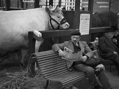 ---André Kertész - On reading---