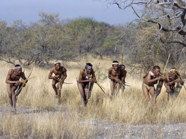 ---A new study finds that people in developed countries use the same amount of energy as hunter-gatherers in East Africa.  (California Watch, Sitting vs. hunting: Both use same amount of energy, study says) Although you may be just sitting at your desk or planted on your couch while reading this, you are burning the same number of calories as the hardest-working hunter-gatherer in East Africa. Indeed, the fact that you get from one place to another in your car, on a train or on a bus; that you ride an escalator or elevator to go up and down floors; and that you move only when you absolutely must makes no difference. You still are expending the same amount of energy as the Hadza, who generally walk between five and seven miles a day to find food.---click image for source...