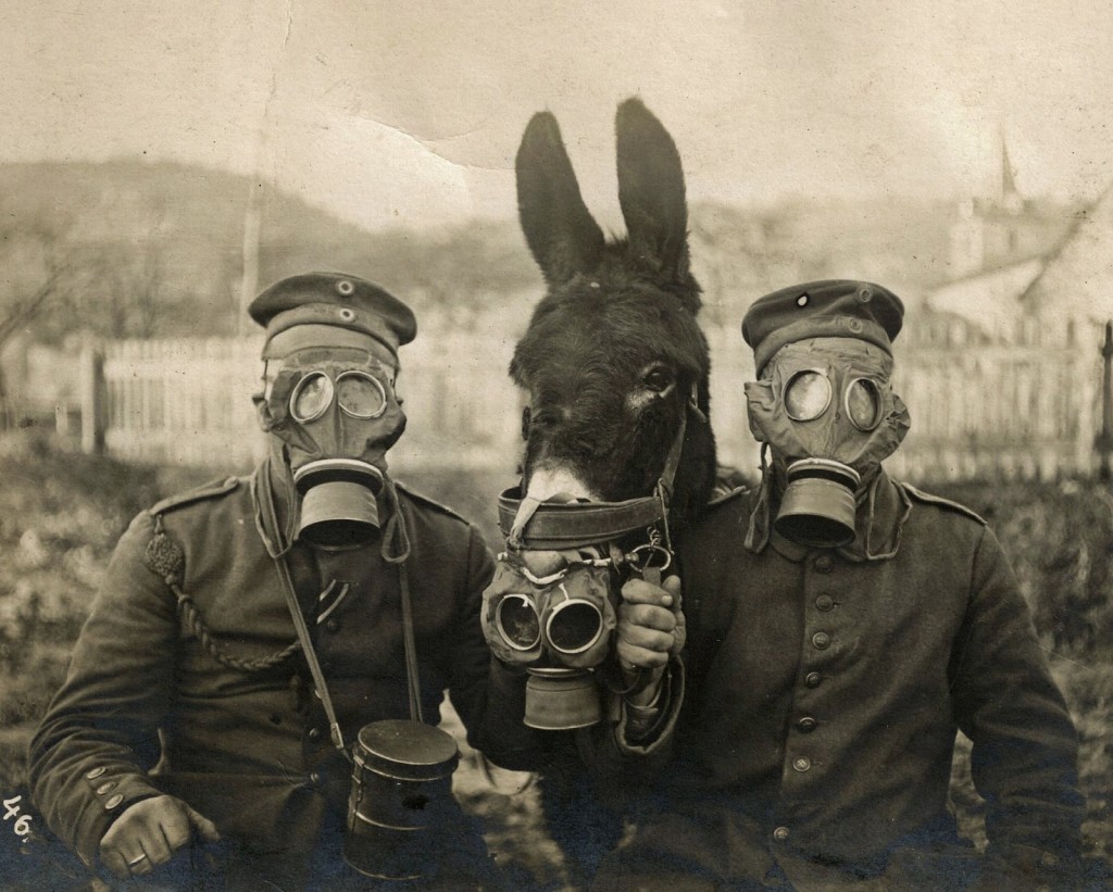 ---Soldiers and mule wearing gas masks---click image for source...